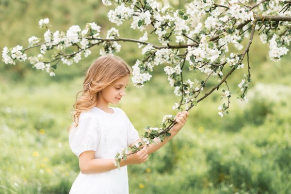 Солнце эзотерика