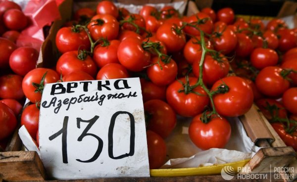 Бздышек Западловский