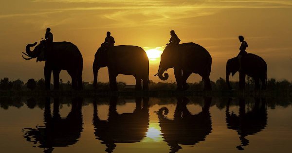 Африка Эстетика