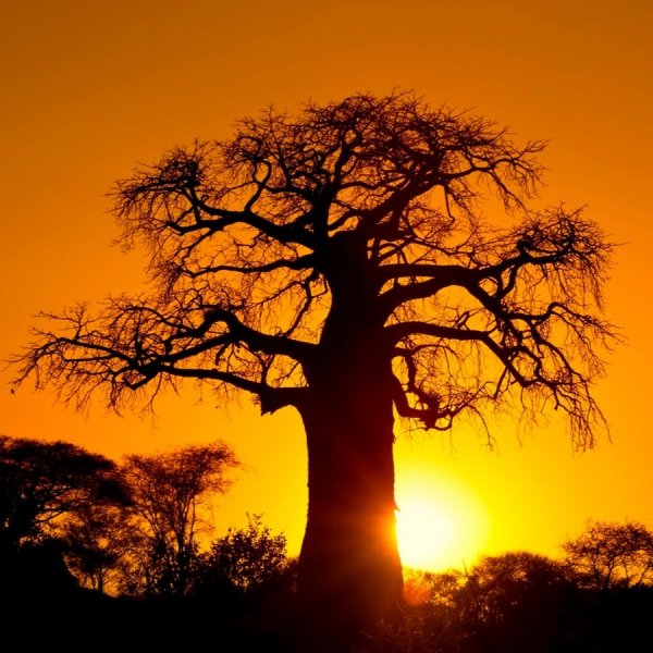 Национальный костюм Африки