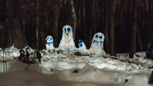 Снежный призрак