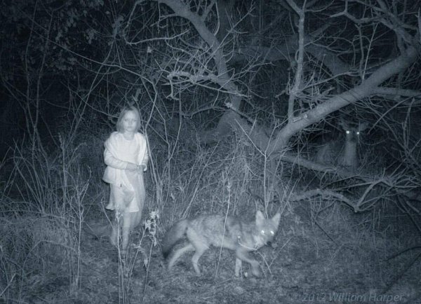 Привидения в квартире