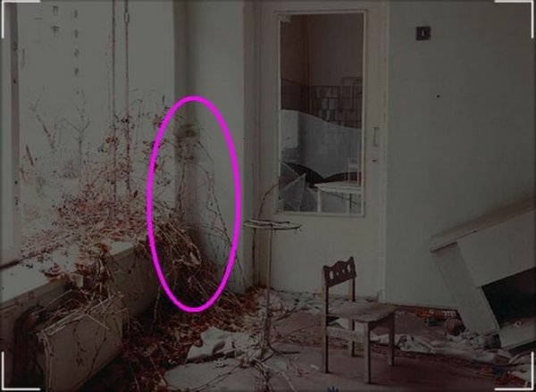 Фантом Паранормальное явление