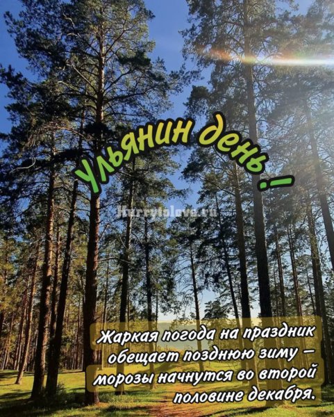 5 Июля день картинки