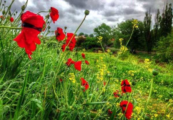 Ульянино творчество