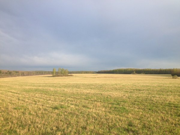 Евсеев день 5 июля