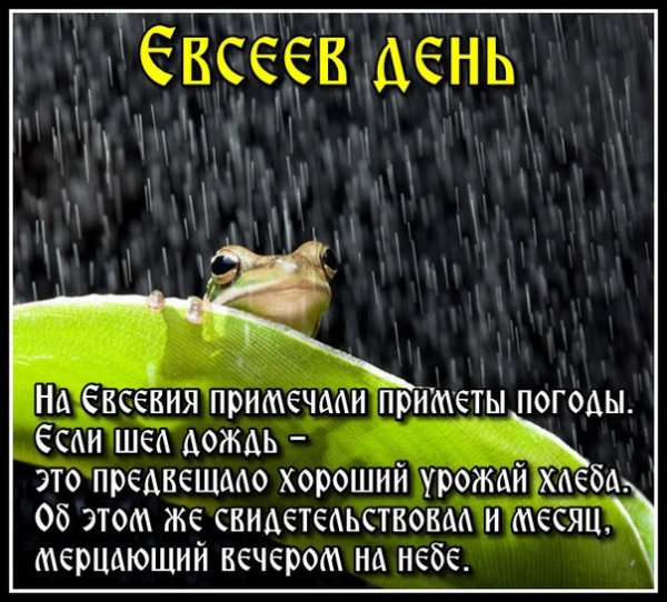 5 Июля праздники картинки