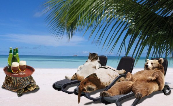 Пожелания хорошего отпуска