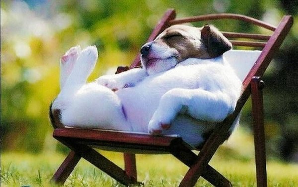 Веселых выходных