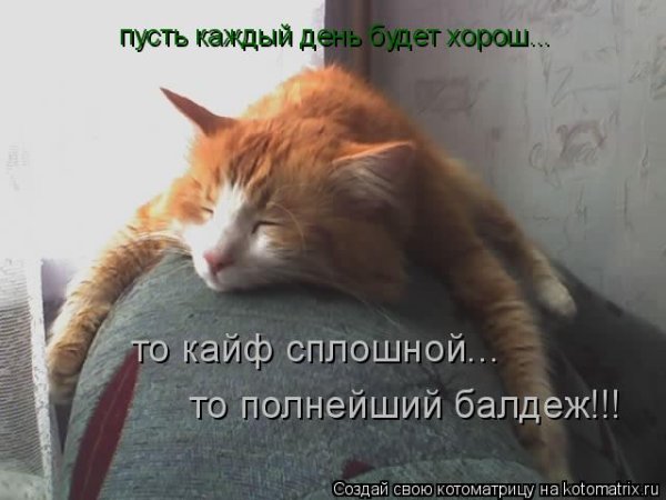 Суббота кайф