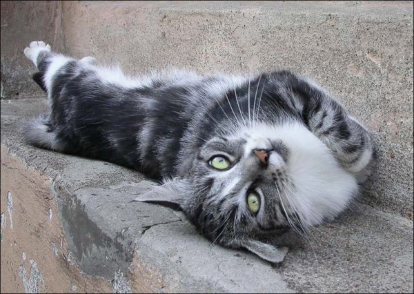 С днем кайфа