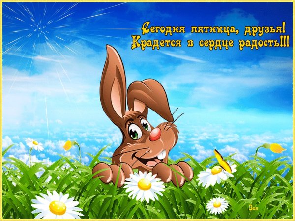 Хорошего дня прикольные