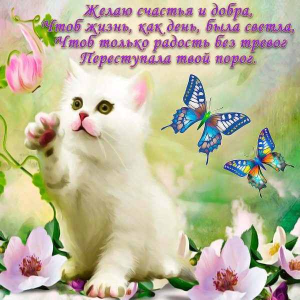 Красивые пожелания