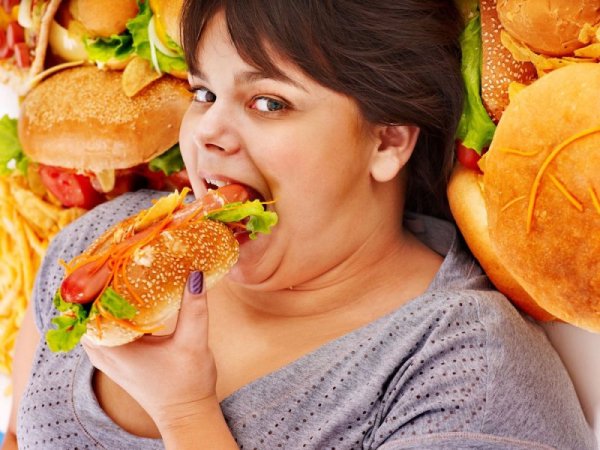 Неправильное питание ожирение