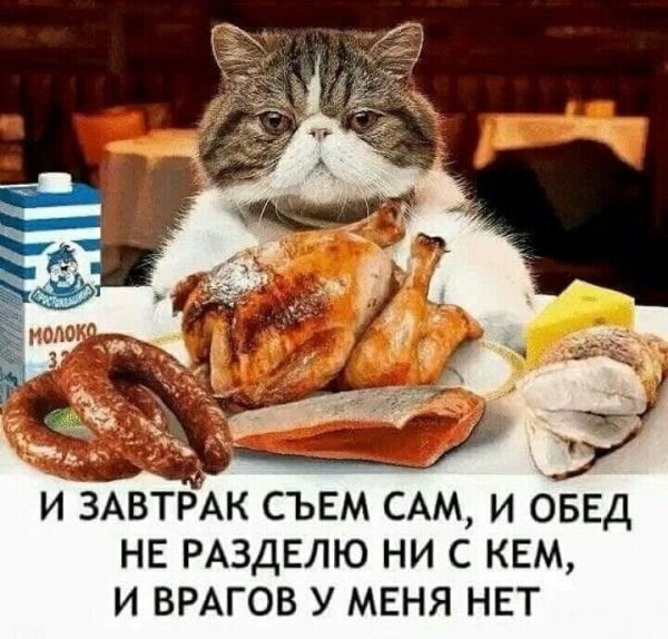 Толстая женщина с тортиком