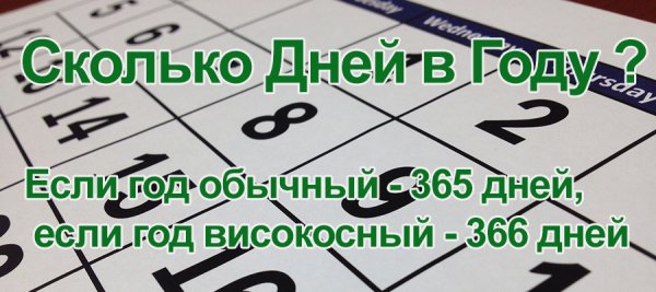 Сколько дней в году