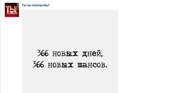 366 Новых дней