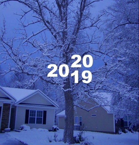 365 Дней приложение