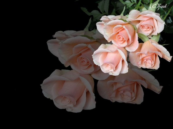 Христианские открытки с добрым утром и благословениями