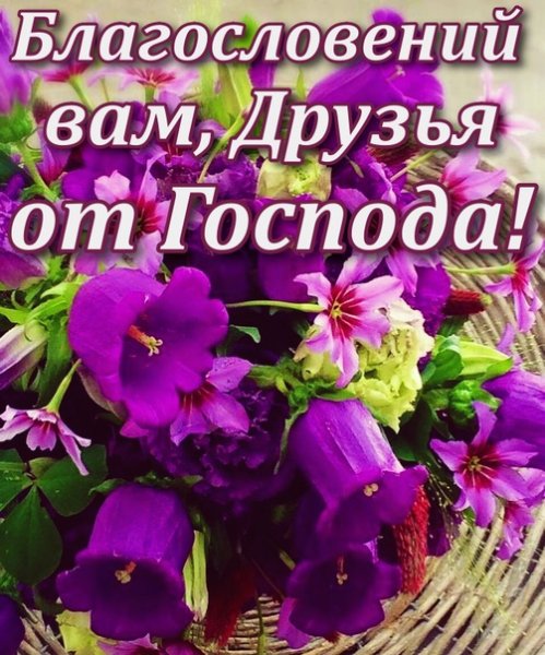 Божьих благословений