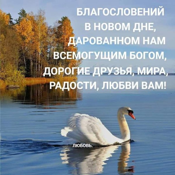 Доброго благословенного утра и хорошего дня