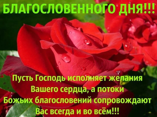 Добрлго благославеенного дня
