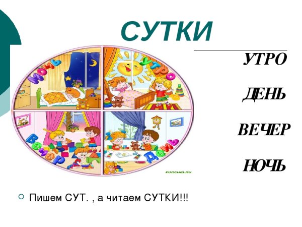 Части суток день ночь