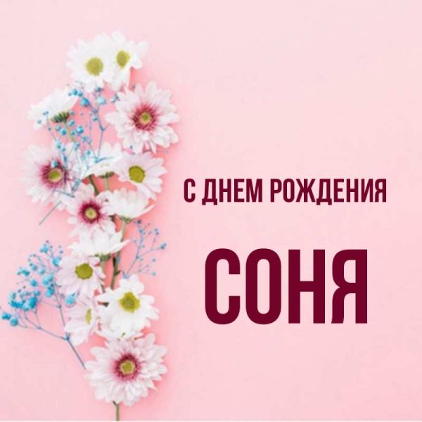 Соня открытка