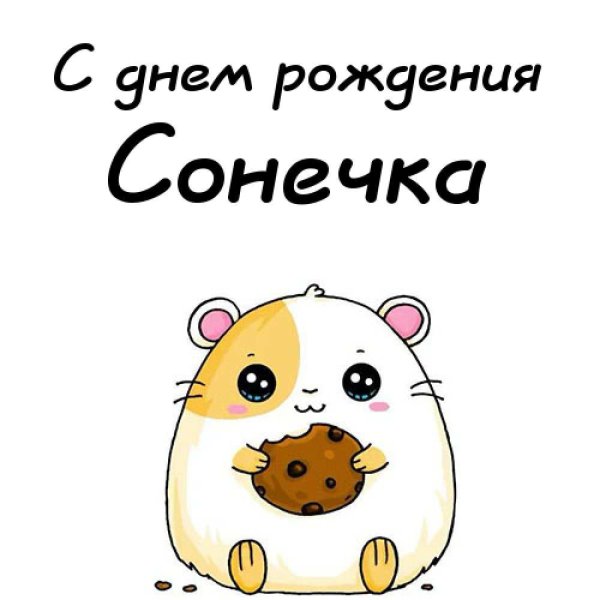 С днём рождения Соня