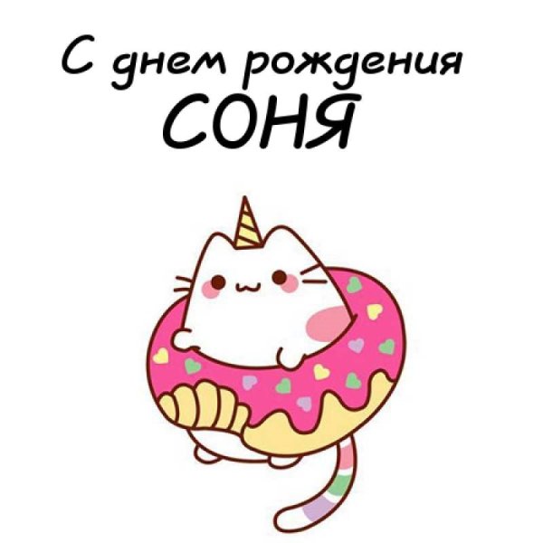 Поздравления с днём рождения Сонечке