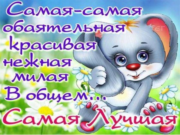 Поздравления с днём рождения Сонечке