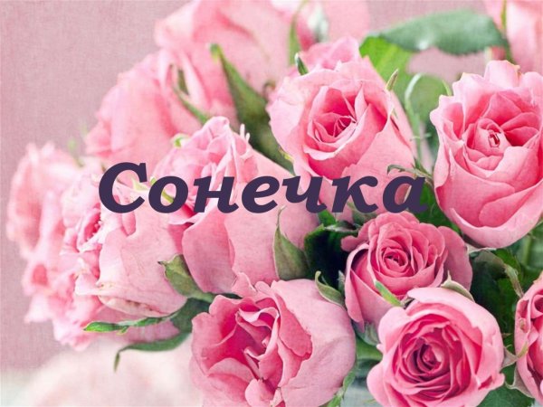 С днем рождения Соня поздравления