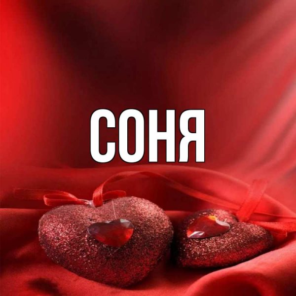 День рождения зайчика