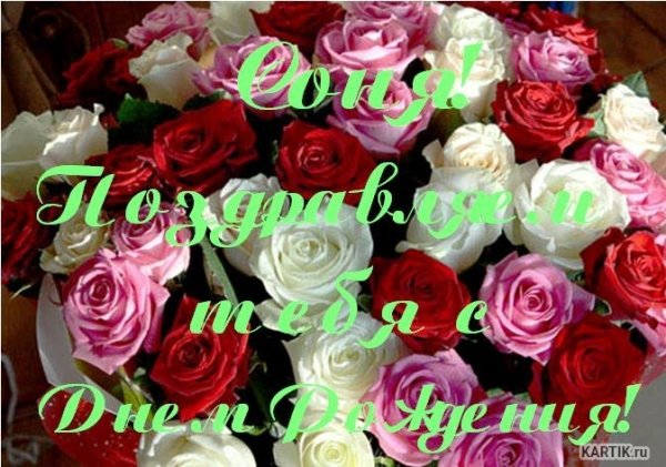 Открытки с днем рождения Соня
