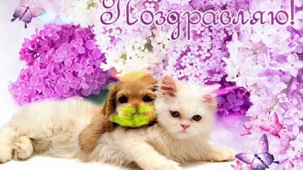 Старинные открытки с именами