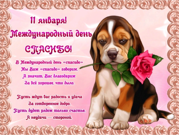 День благодарности