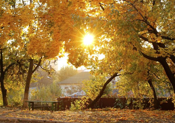 Осеннее солнце