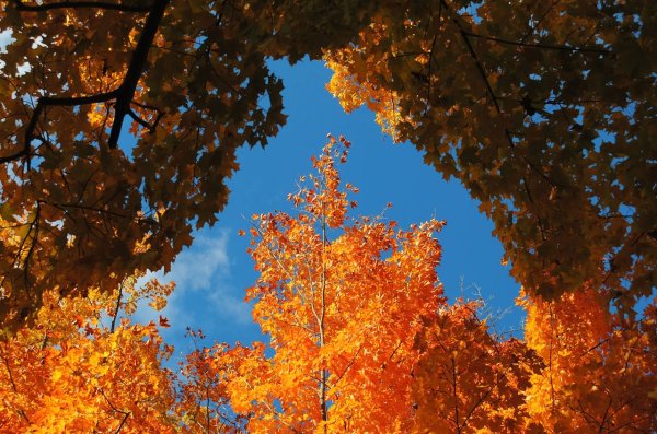 Красивые осенние фото