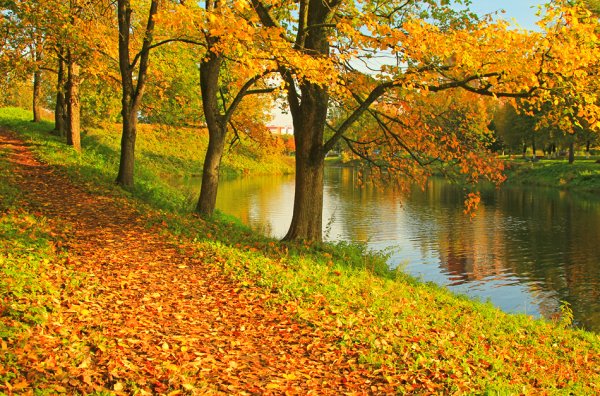 Осенний день