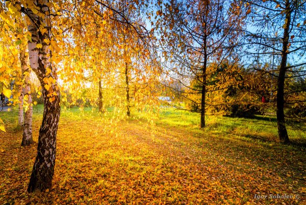 Солнечный осенний пейзаж