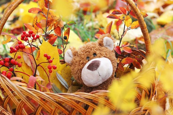 С днём рождения осенью