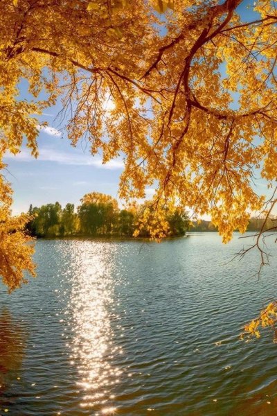 Осенняя река