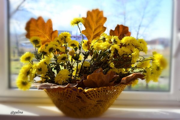 Букет из желтых листьев