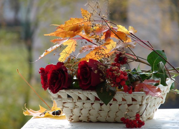 Шикарный осенний букет