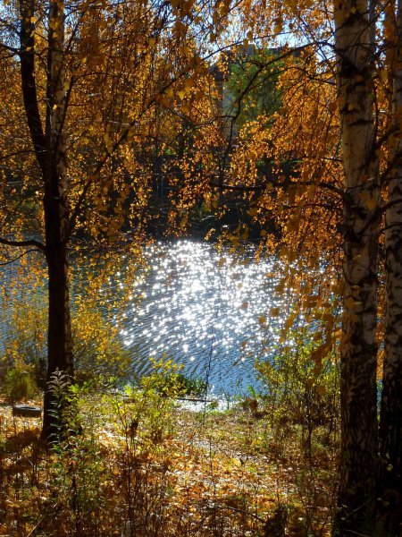 Солнечный осенний день