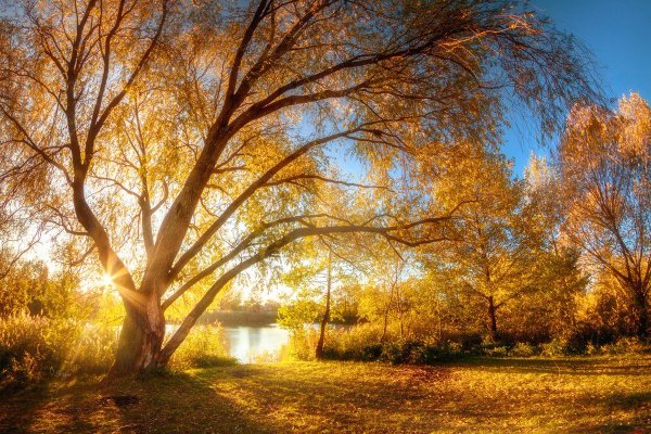 Солнечная осень