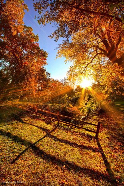 Тёплая осень