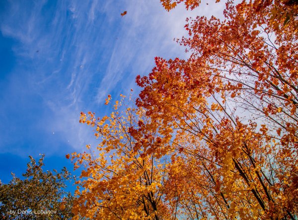 Осенний день