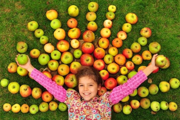 Праздник яблок