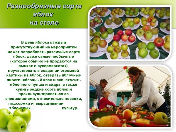 Всемирный день яблок